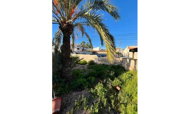 Venta - Villa - Torrevieja - Aguas Nuevas