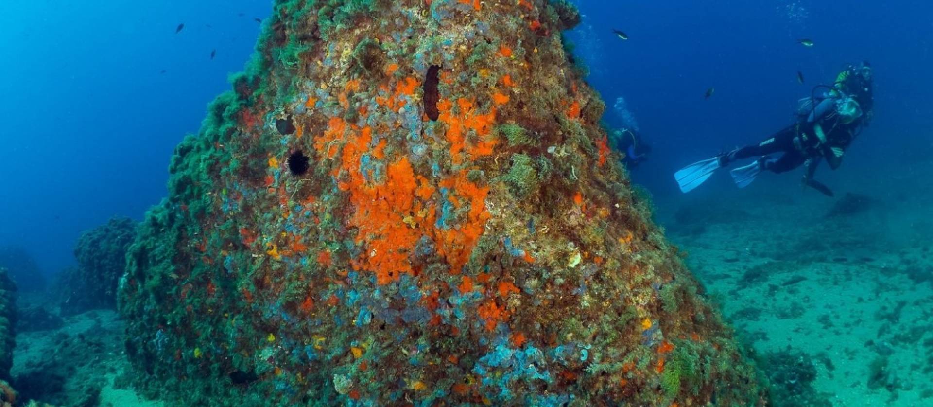 New Build - Apartment - Aguilas - Isla Del Fraile