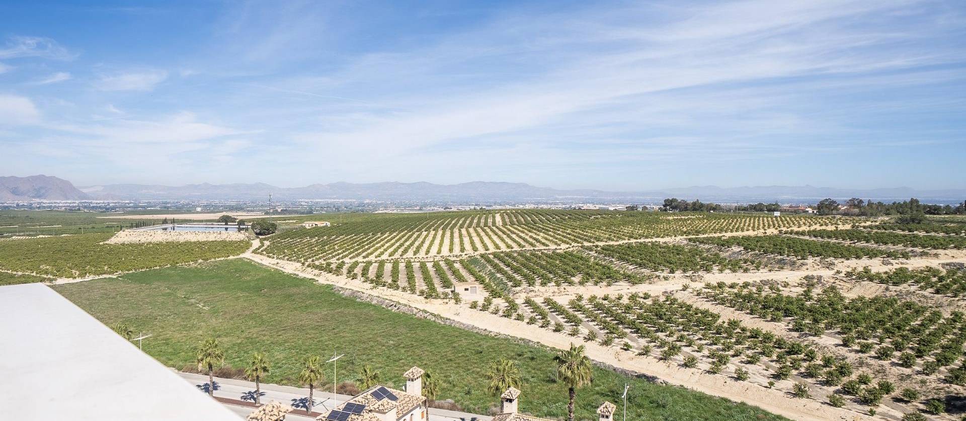 Nueva construcción  - Villa - Algorfa - La Finca Golf