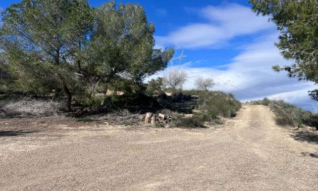 Venta - Country House - Torremendo