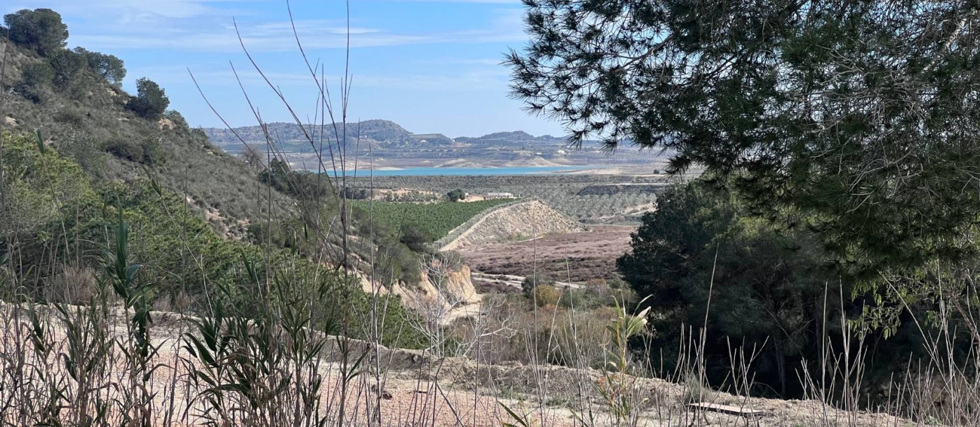 Venta - Country House - Torremendo