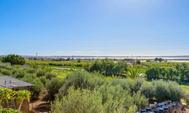 Venta - Country House - Los Montesinos