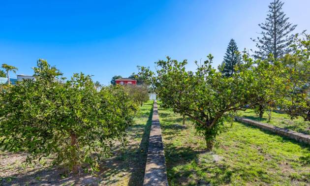 Venta - Country House - Los Montesinos