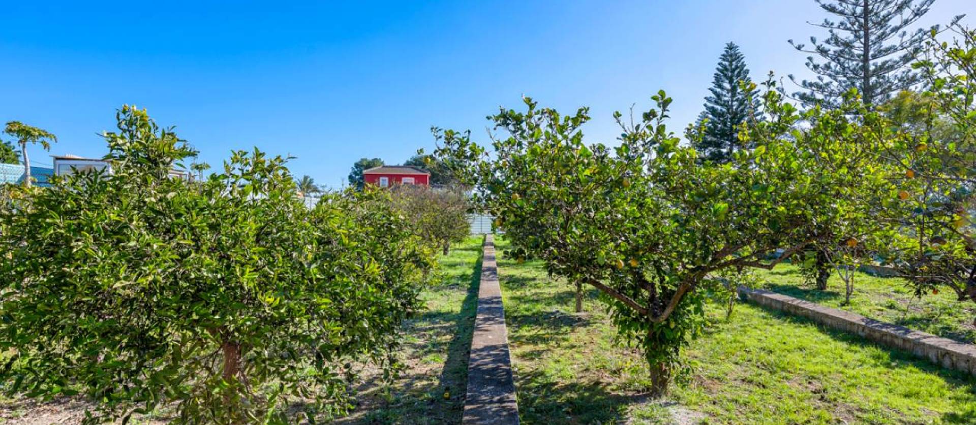 Venta - Country House - Los Montesinos