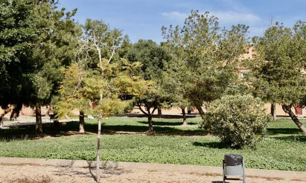 Bestaande woningen - Appartment - Torrevieja