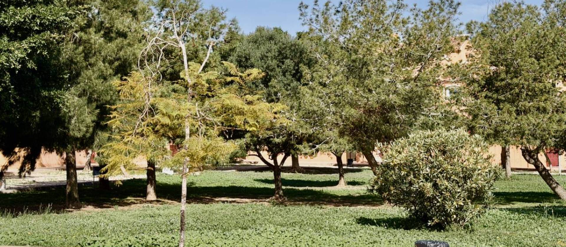 Bestaande woningen - Appartment - Torrevieja