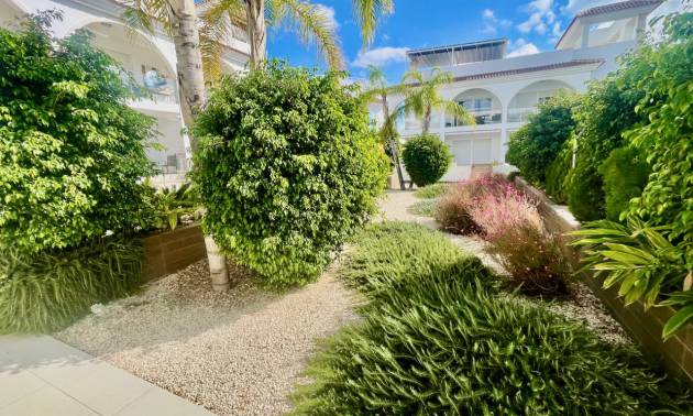 Revente - Apartment - Ciudad Quesada