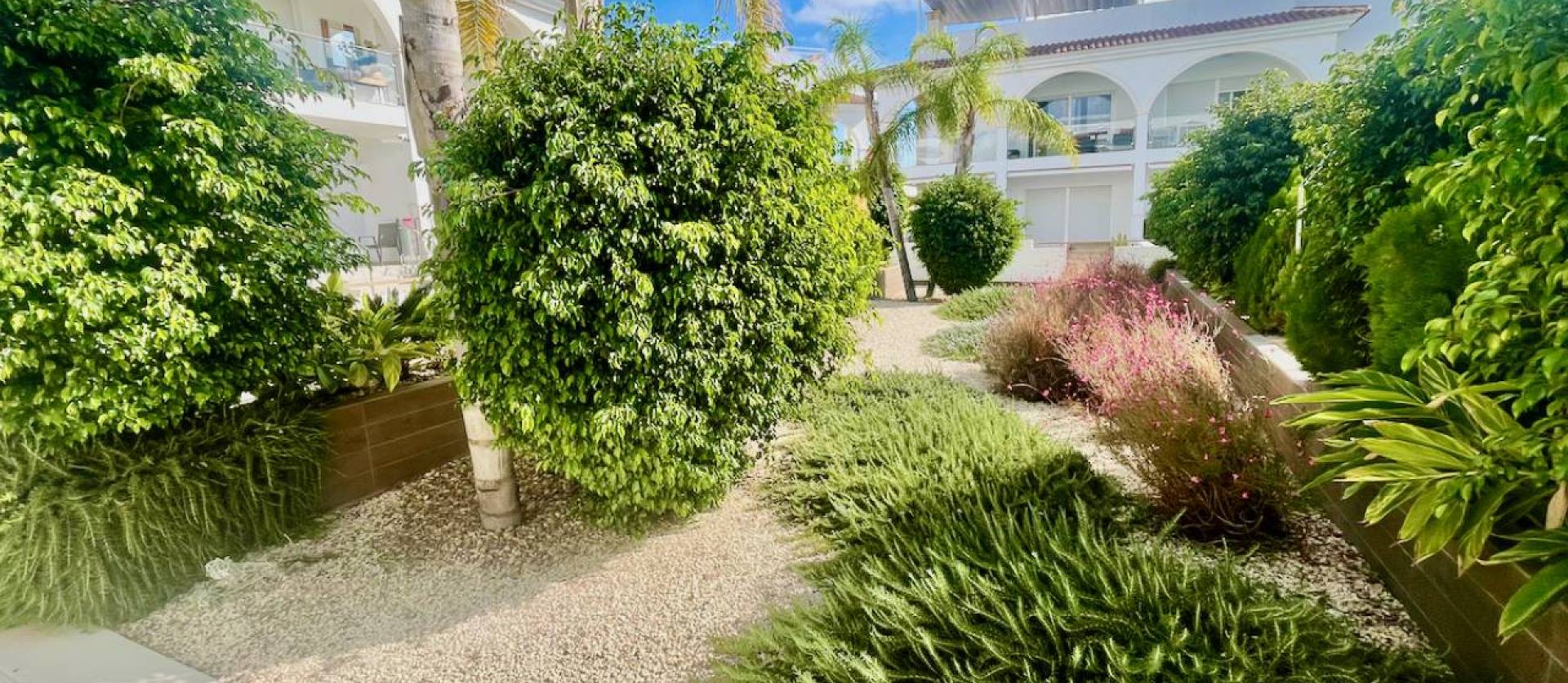 Revente - Apartment - Ciudad Quesada