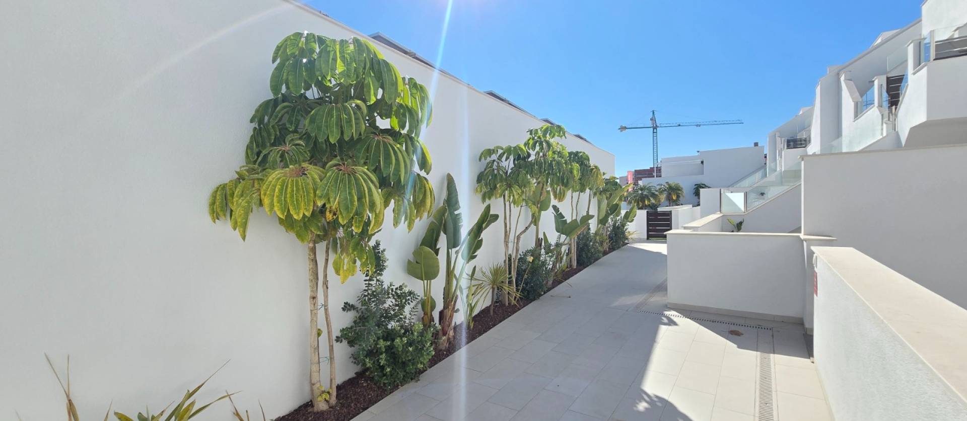 Venta -  - Pilar de la Horadada *