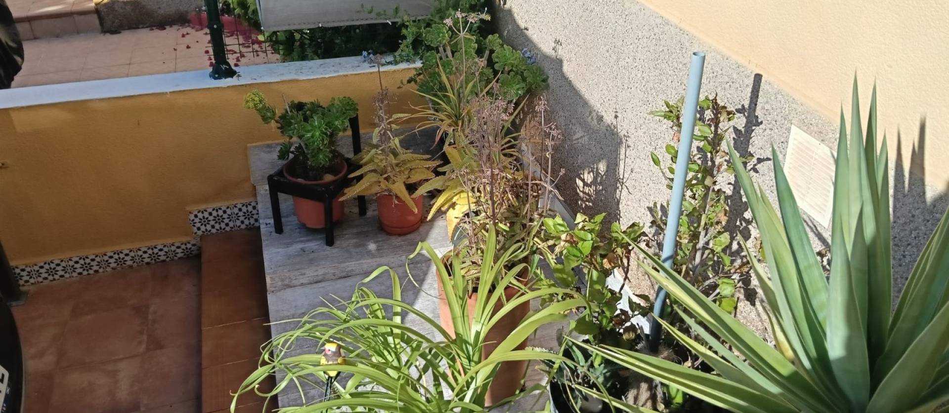 Venta -  - Los Montesinos - La Herrada