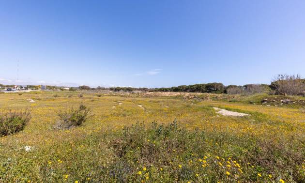 Venta - Bungalow - Guardamar del Segura - Urbanizaciones