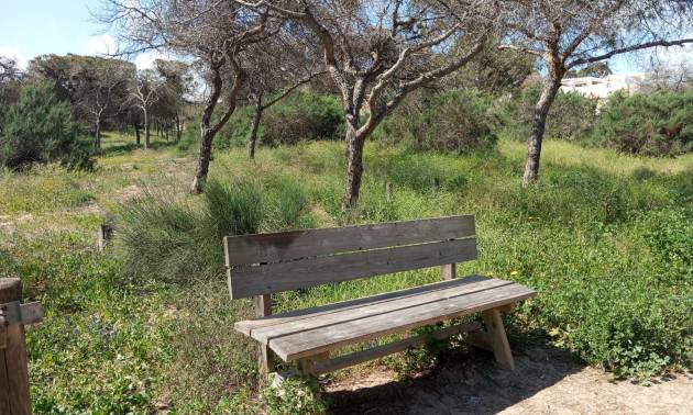 Venta - Bungalow - Guardamar del Segura - Urbanizaciones