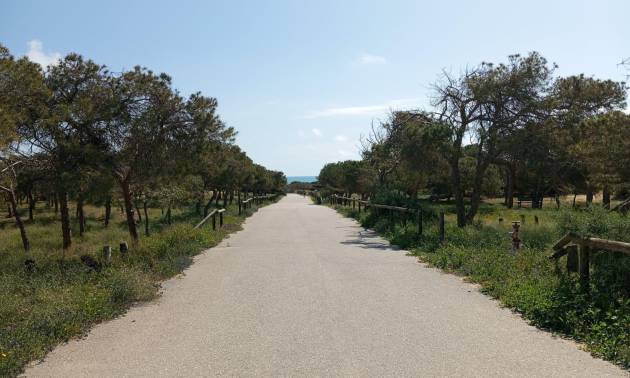 Venta - Bungalow - Guardamar del Segura - Urbanizaciones
