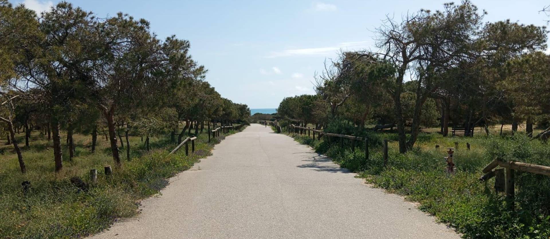 Venta - Bungalow - Guardamar del Segura - Urbanizaciones