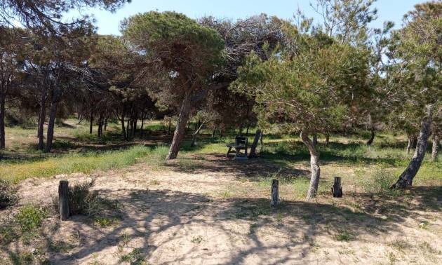 Venta - Bungalow - Guardamar del Segura - Urbanizaciones