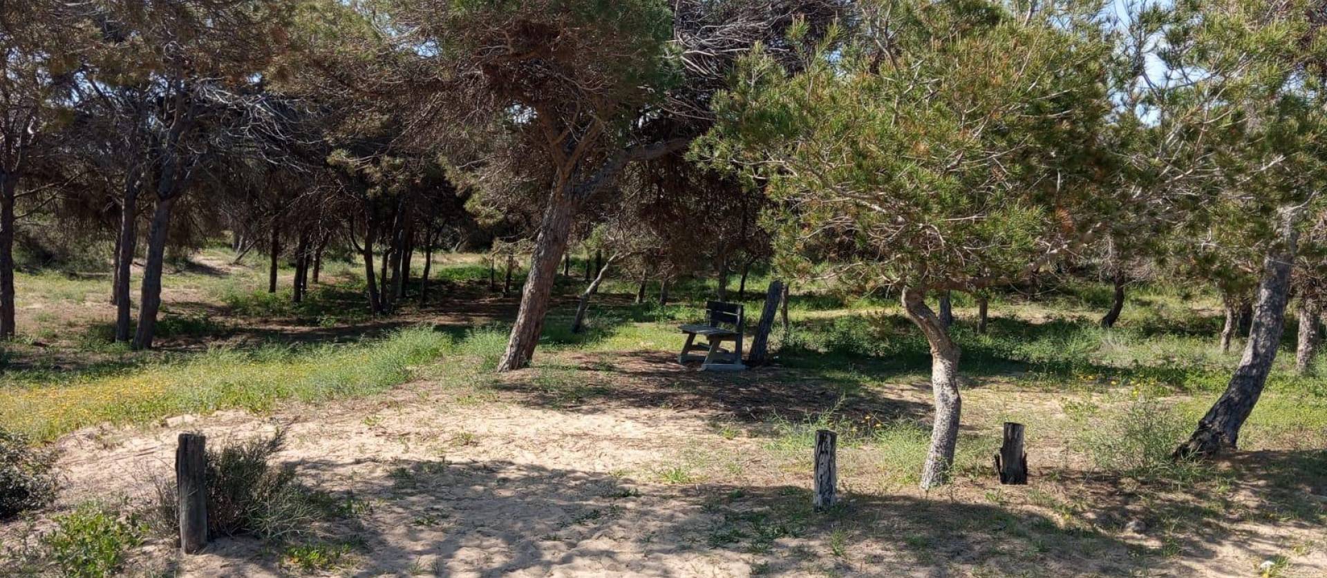 Venta - Bungalow - Guardamar del Segura - Urbanizaciones