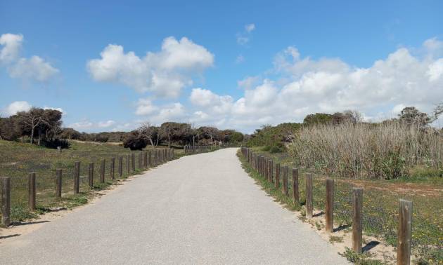 Venta - Bungalow - Guardamar del Segura - Urbanizaciones