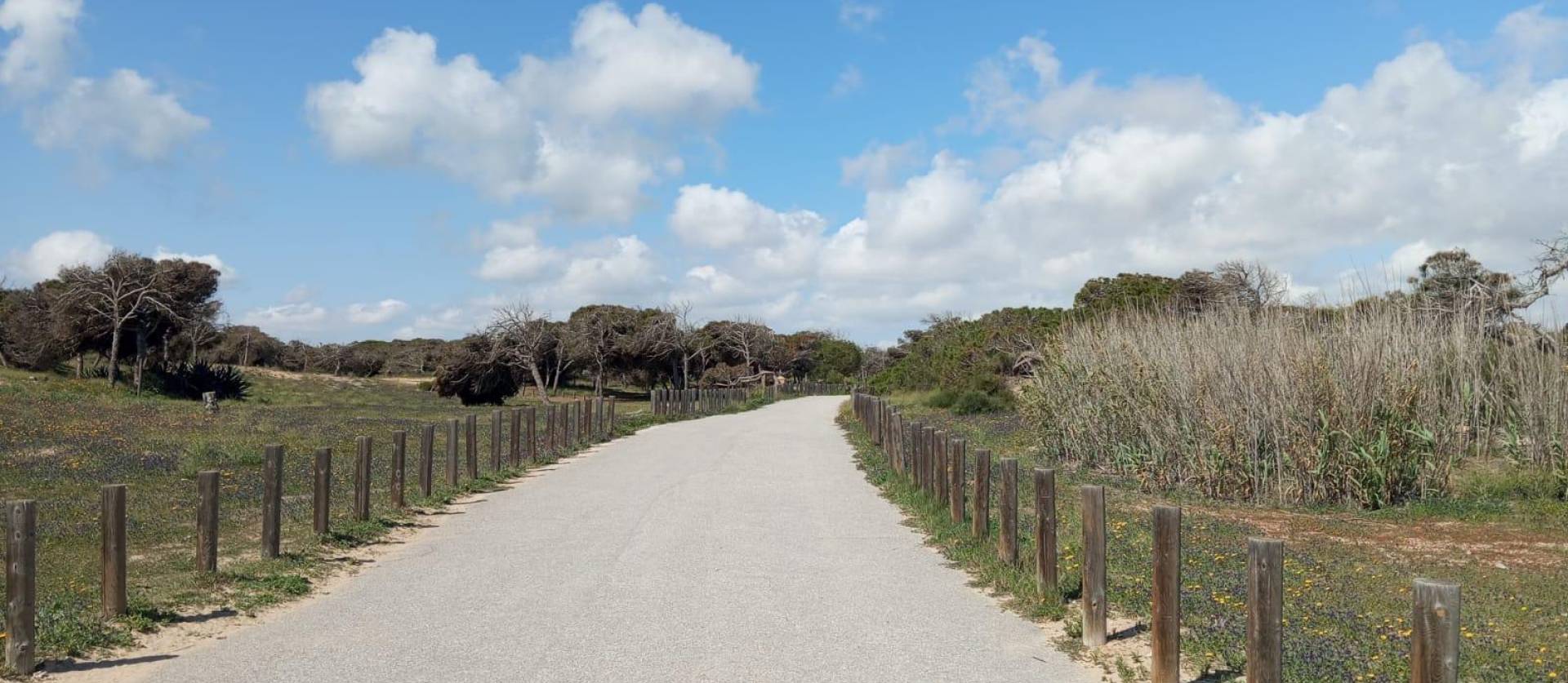 Venta - Bungalow - Guardamar del Segura - Urbanizaciones