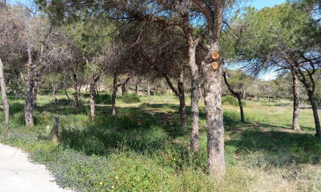 Venta - Bungalow - Guardamar del Segura - Urbanizaciones