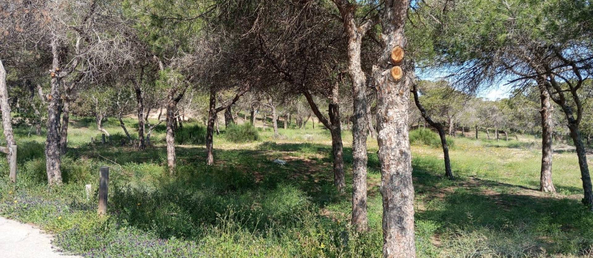 Venta - Bungalow - Guardamar del Segura - Urbanizaciones