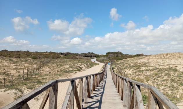 Venta - Bungalow - Guardamar del Segura - Urbanizaciones