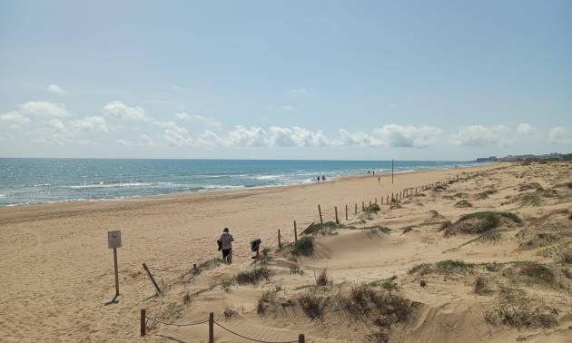 Venta - Bungalow - Guardamar del Segura - Urbanizaciones
