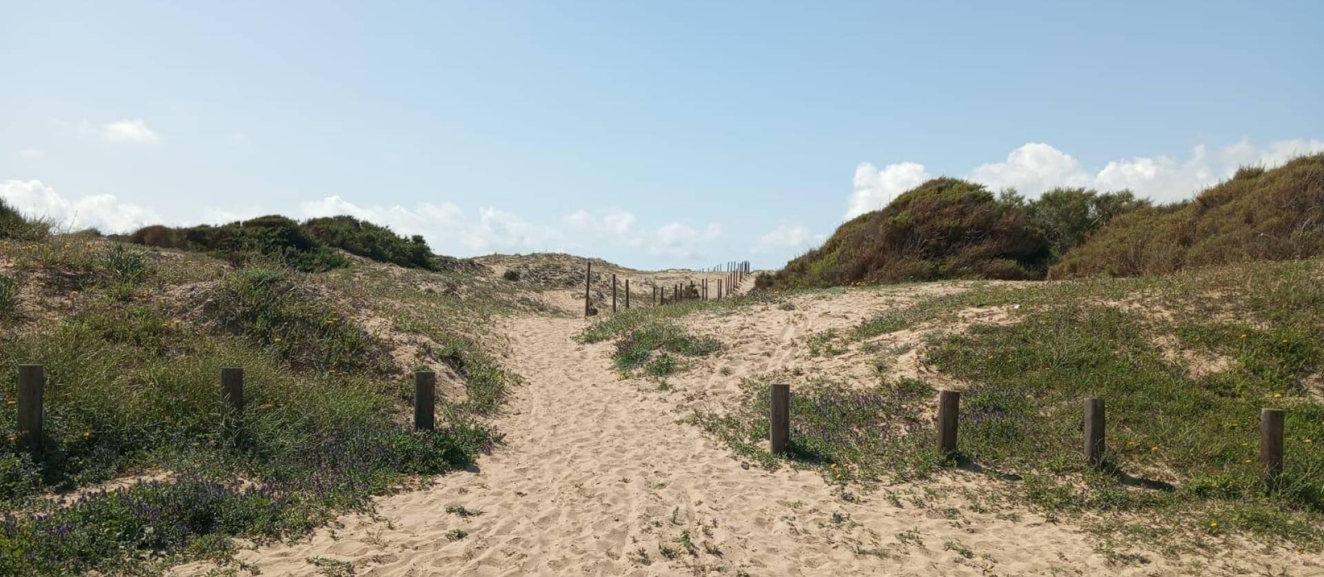 Venta - Bungalow - Guardamar del Segura - Urbanizaciones