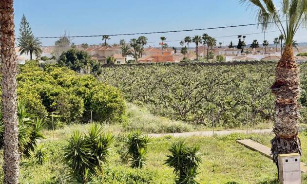 Sale - Apartment - Ciudad Quesada - Ciudad Quesada - Doña Pepa