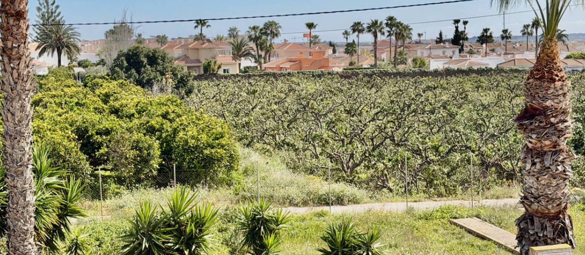 Sale - Apartment - Ciudad Quesada - Ciudad Quesada - Doña Pepa