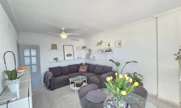 Revente -  - Los Montesinos *