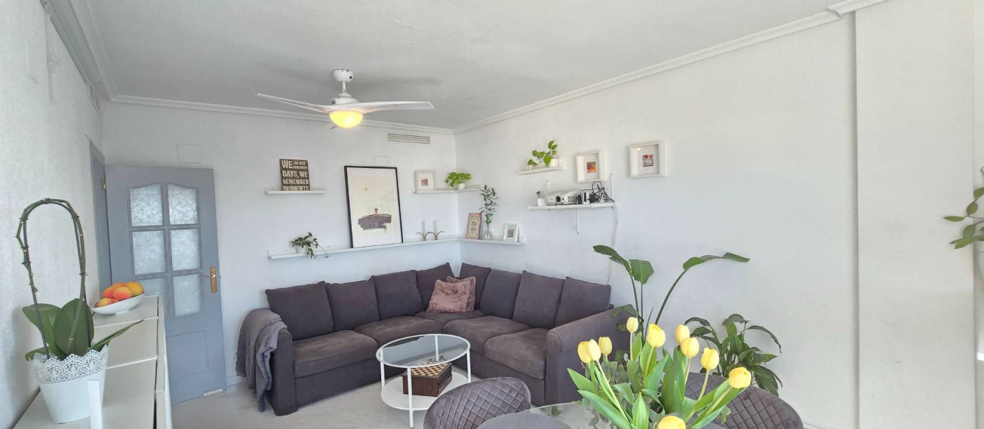 Revente -  - Los Montesinos *