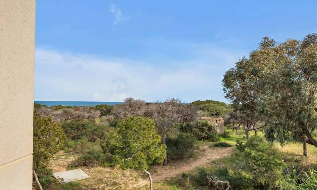 Venta - Villa - Guardamar del Segura - Urbanizaciones