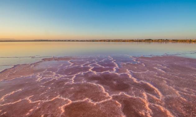 Sale - Apartment - Torrevieja - La Mata