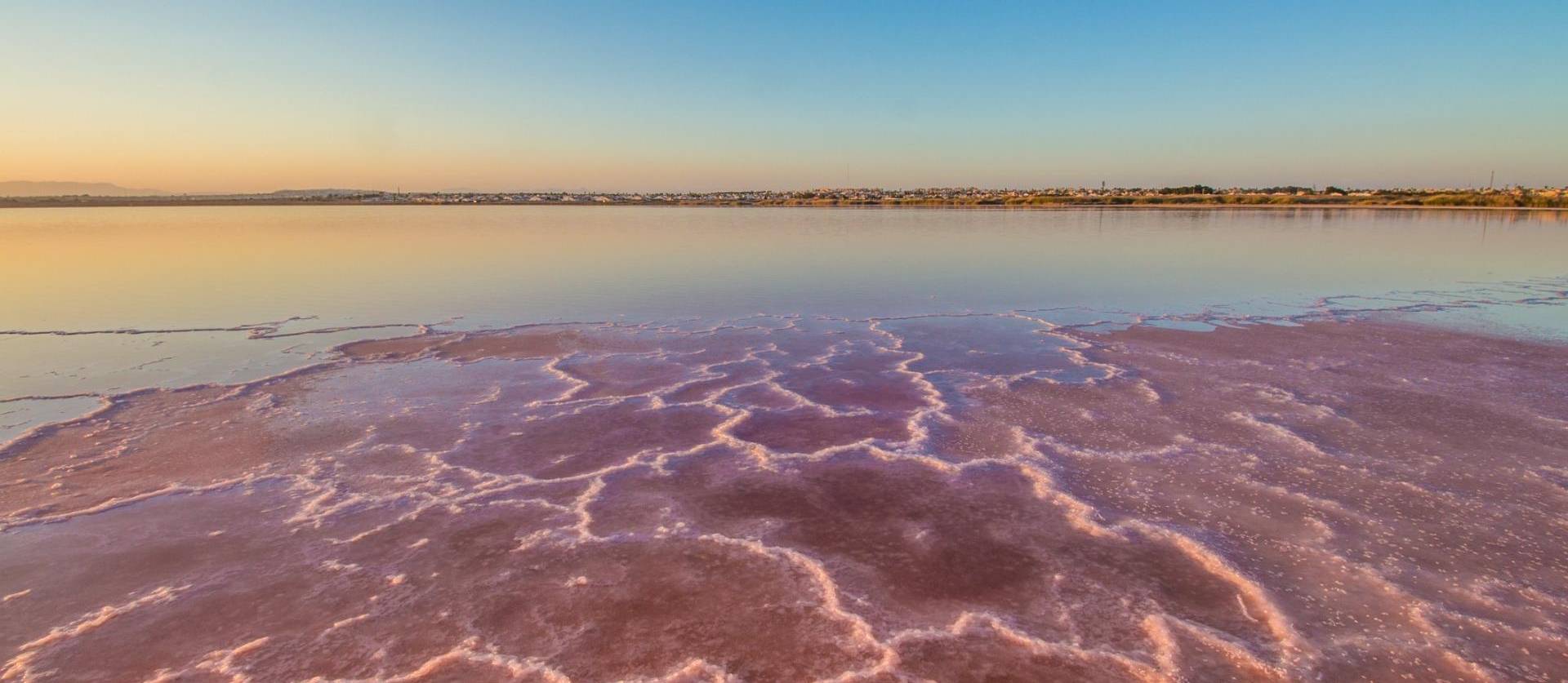 Sale - Apartment - Torrevieja - La Mata