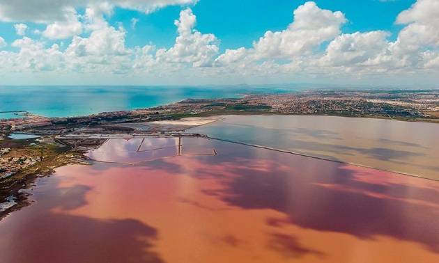 Sale - Apartment - Torrevieja - La Mata