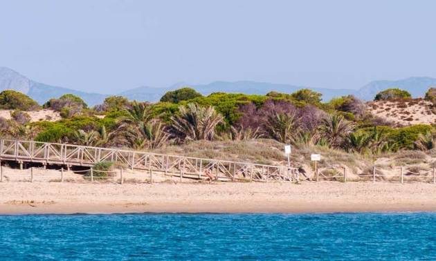 Nouvelle construction - Apartment - Guardamar del Segura - Pueblo