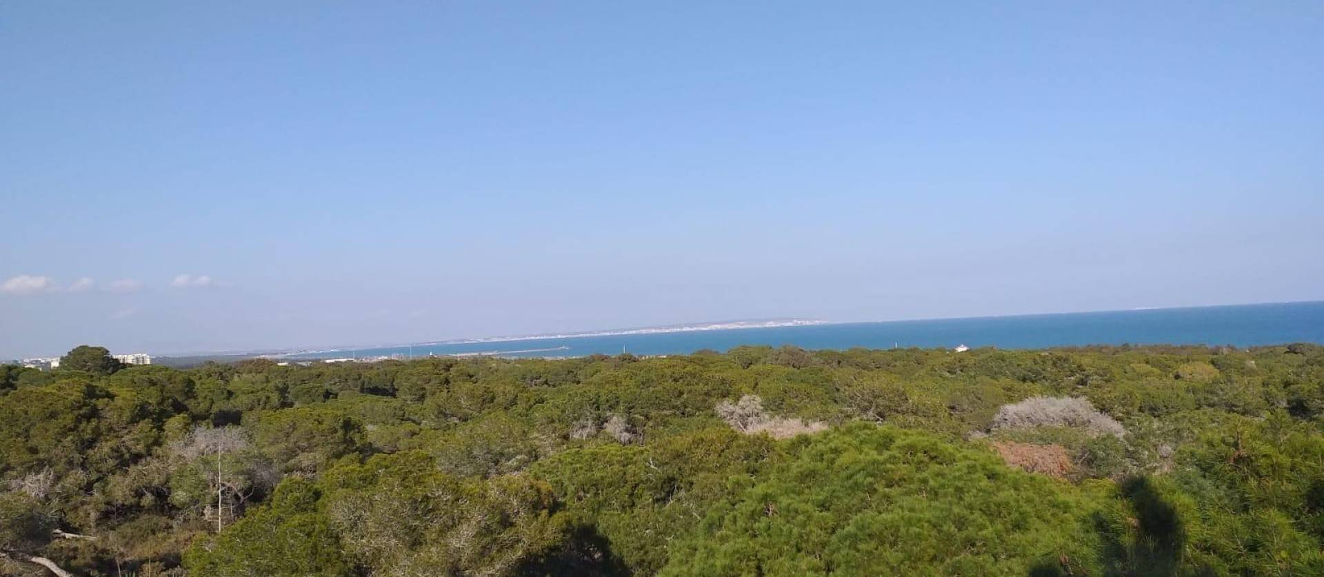 Nieuwbouw projecten - Appartment - Guardamar del Segura - Pueblo