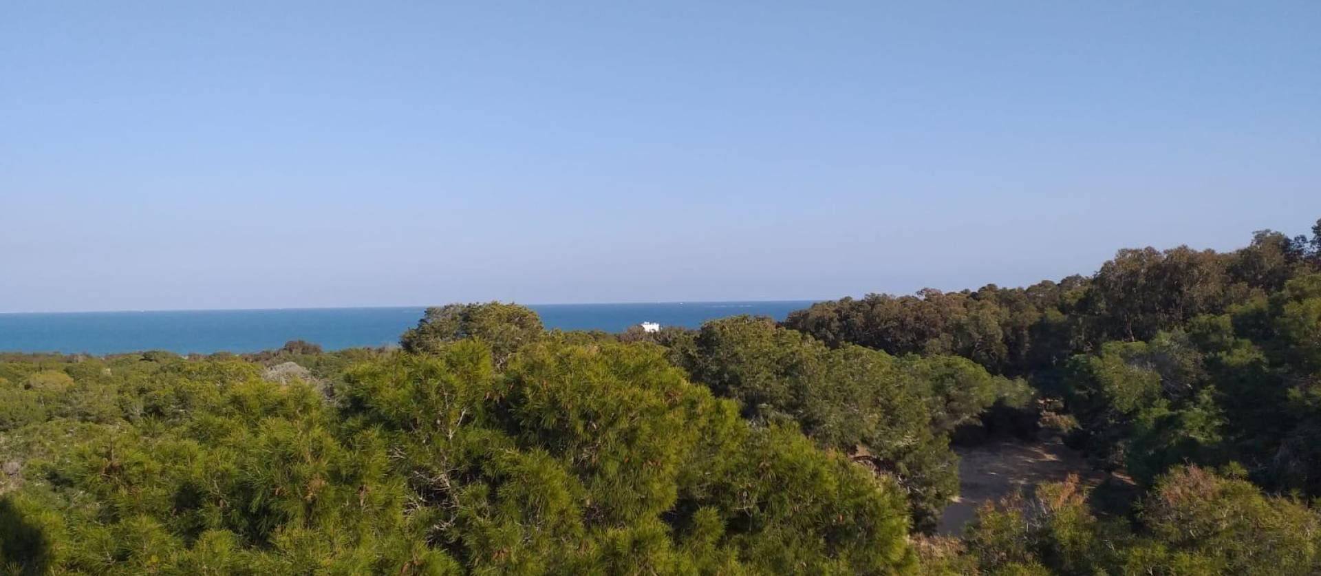 Nieuwbouw projecten - Appartment - Guardamar del Segura - Pueblo