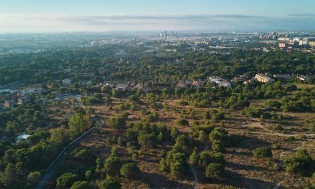 Nieuwbouw projecten - Appartment - Godella - Campolivar