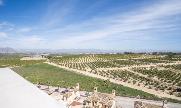 Nouvelle construction - Villa - Algorfa - La Finca Golf