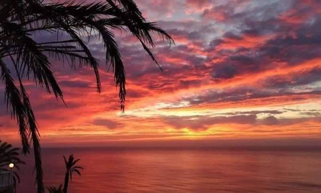 Nouvelle construction - Bungalow - Torrevieja - Altos del Sol