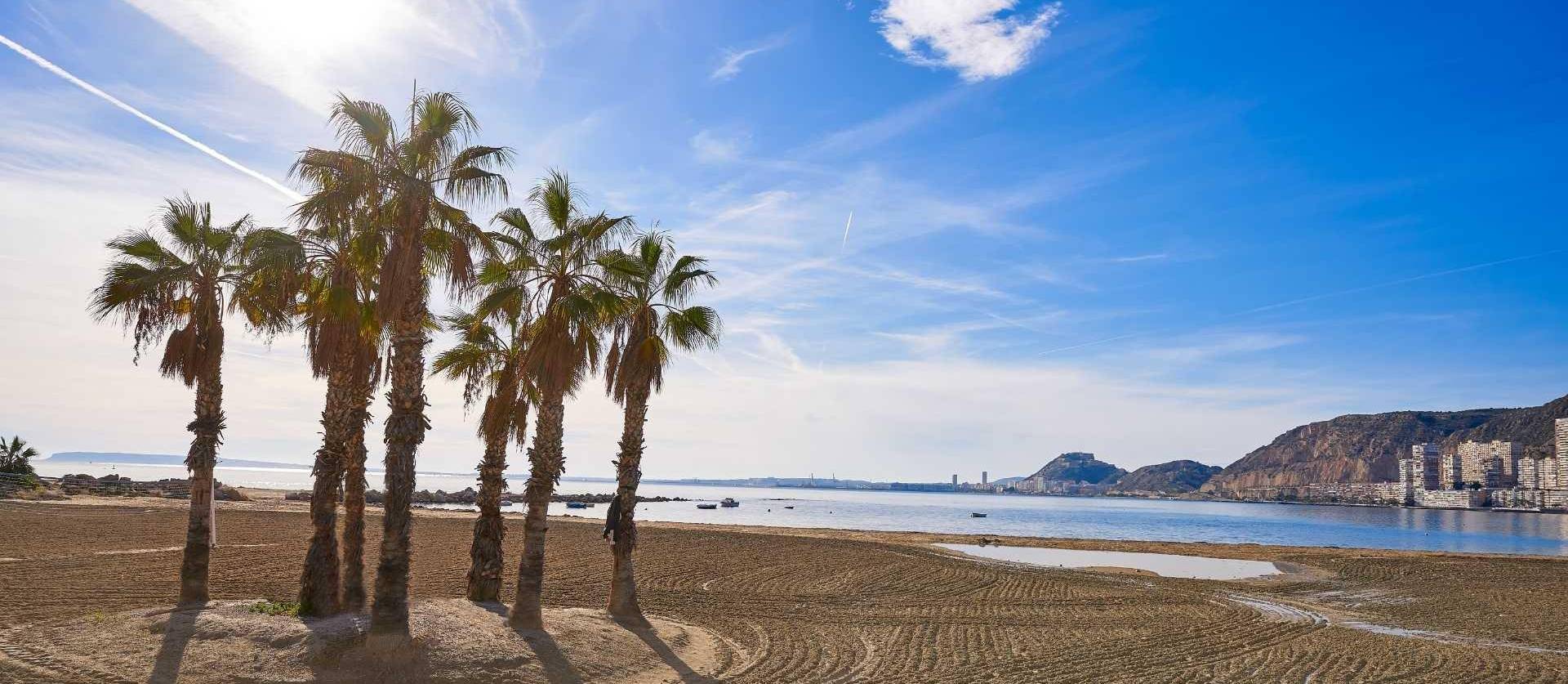 Nouvelle construction - Villa - Els Poblets - Partida Barranquets