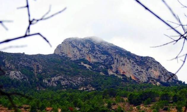 Nouvelle construction - Villa - La Romana - Batistes