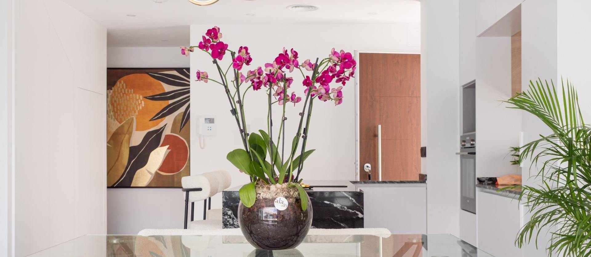 Nueva construcción  - Villa - San Pedro del Pinatar - San Pedro de Pinatar