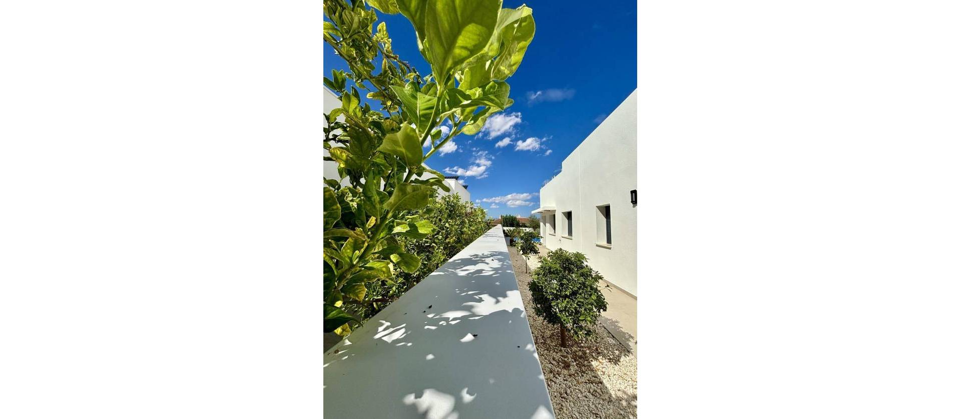 Nieuwbouw projecten - Villa - Benijofar - Pueblo