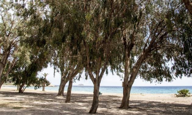 Nieuwbouw projecten - Appartment - Villajoyosa - Playa Les Torres