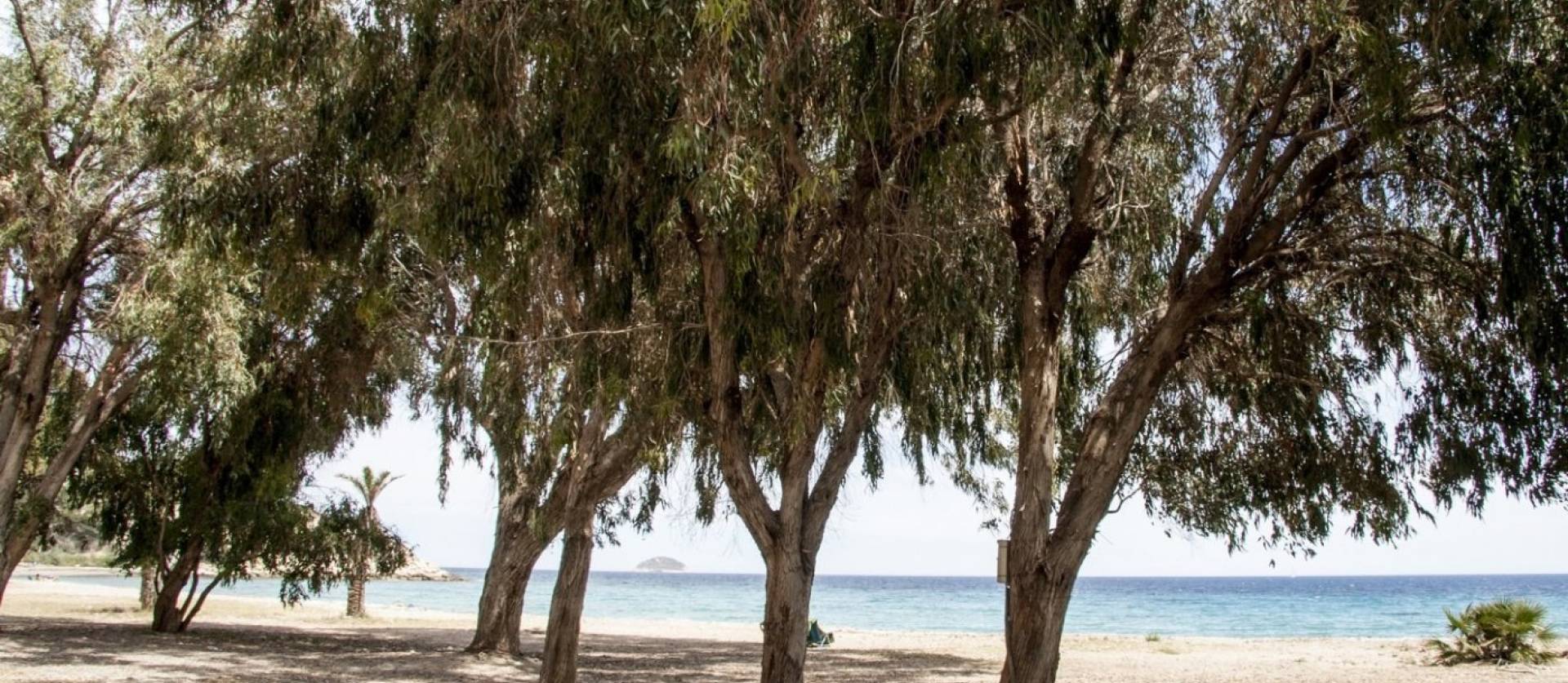 Nieuwbouw projecten - Appartment - Villajoyosa - Playa Les Torres