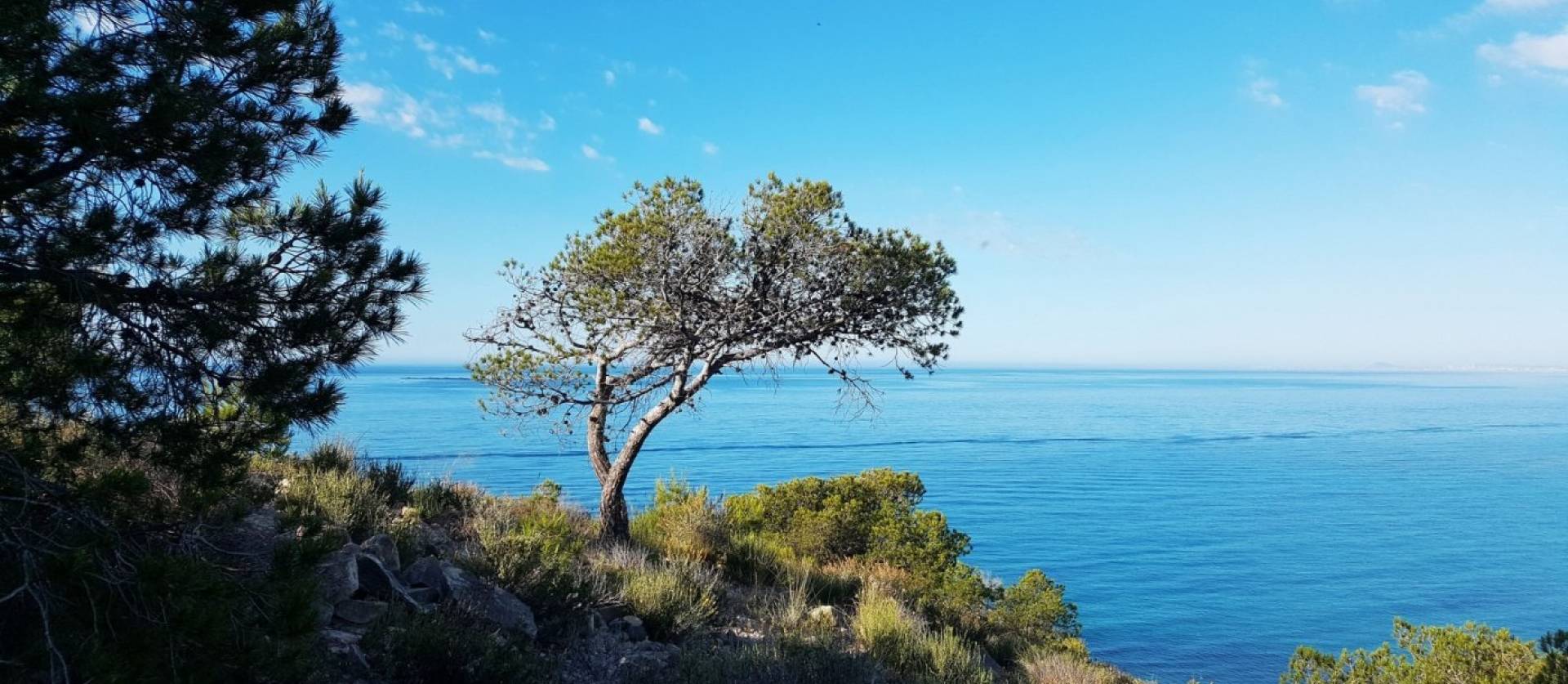 Nieuwbouw projecten - Appartment - Villajoyosa - Playa Les Torres