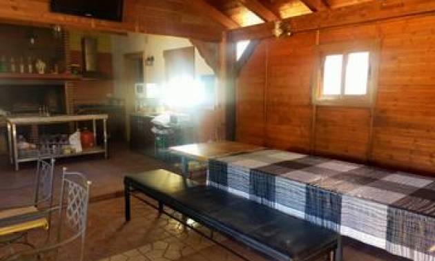 Bestaande woningen - Villa - Elche