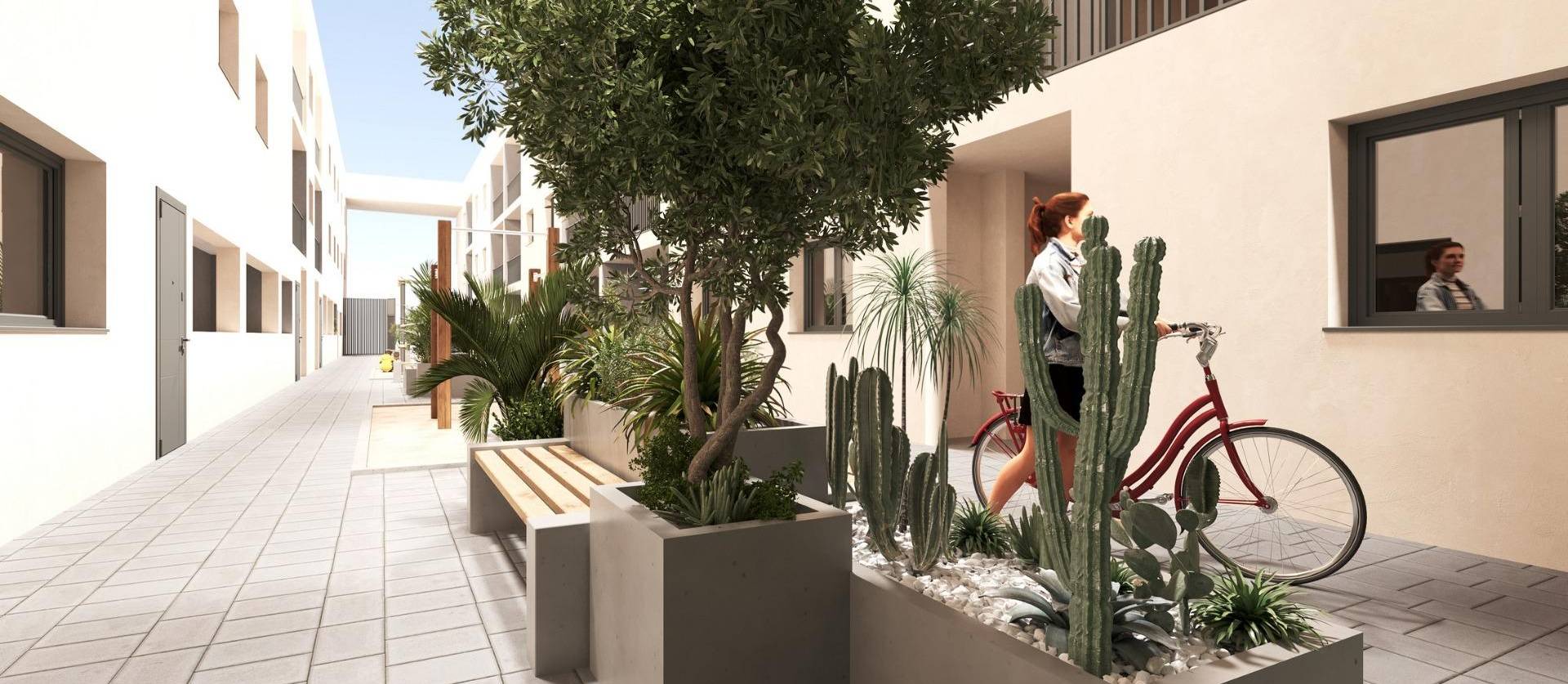 Nueva construcción  -  - San Miguel de Salinas - CENTRO URBANO